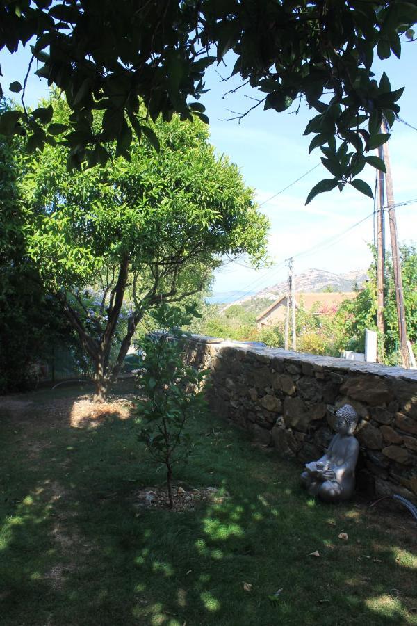 Studio Zen Barbaggio Exterior photo